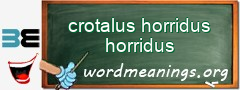 WordMeaning blackboard for crotalus horridus horridus